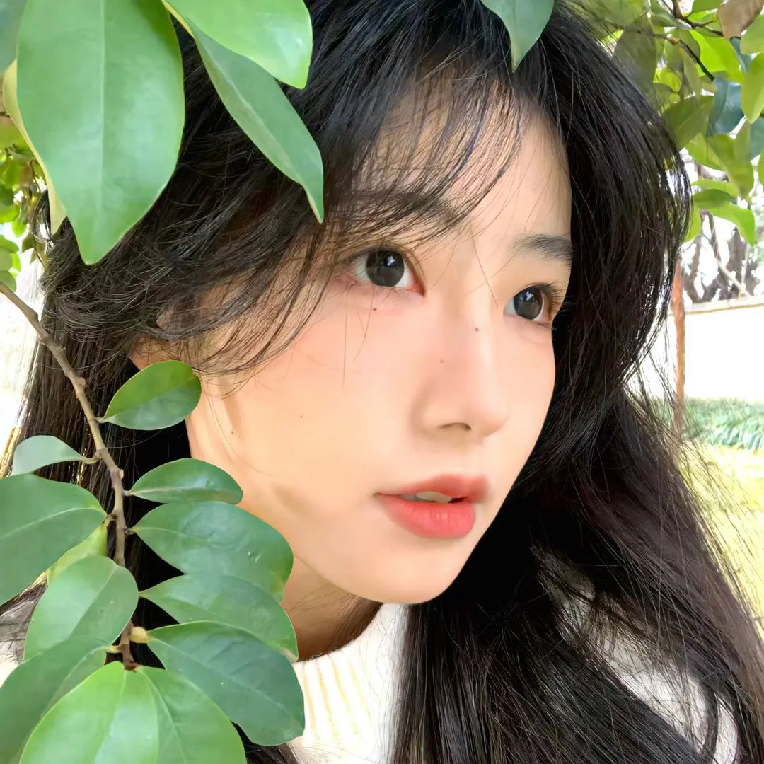 霓梦