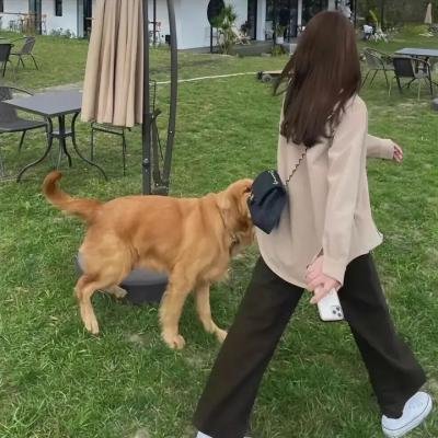 渔家乐续集
